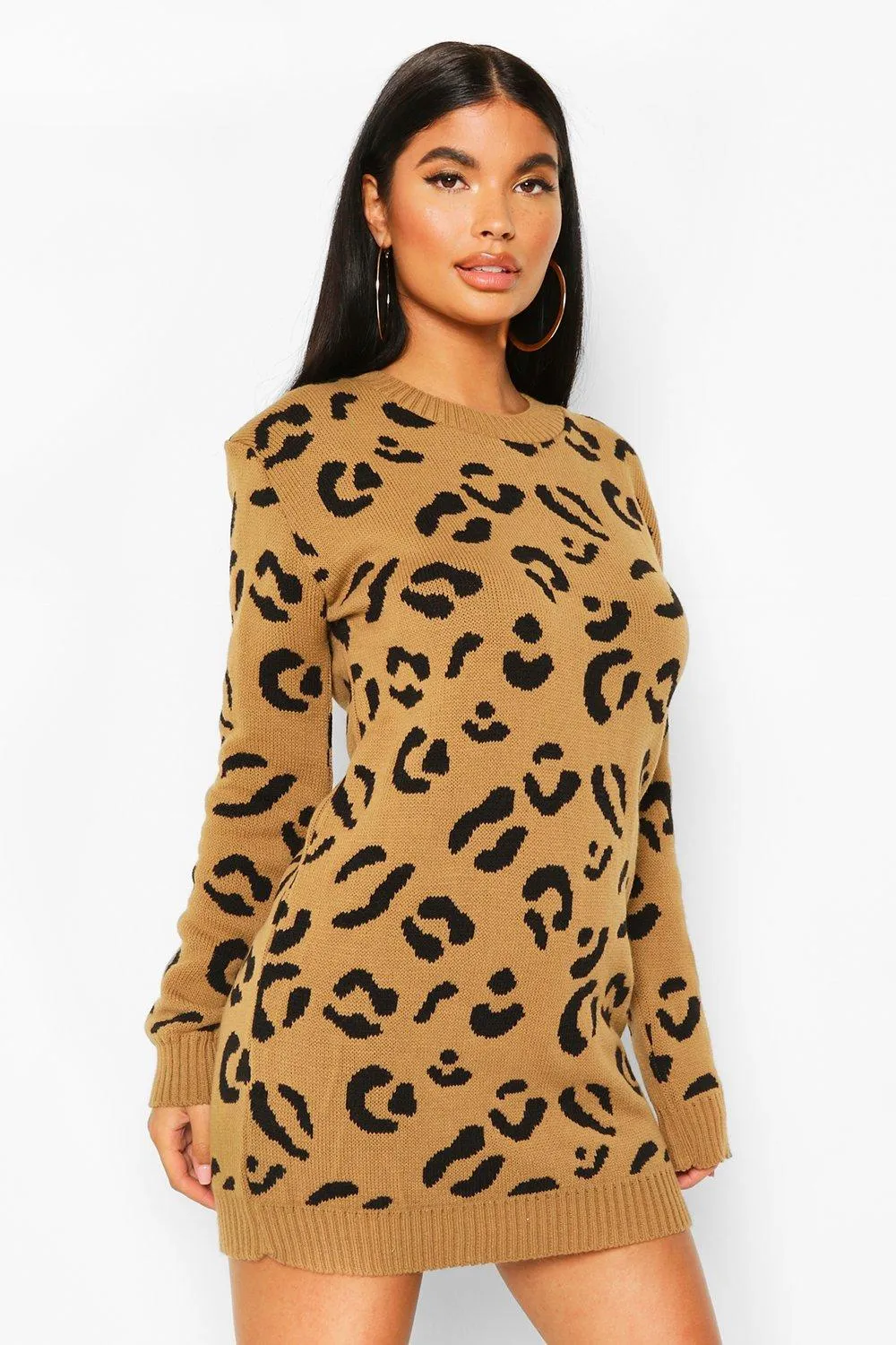 Petite Leopard Sweater Dress